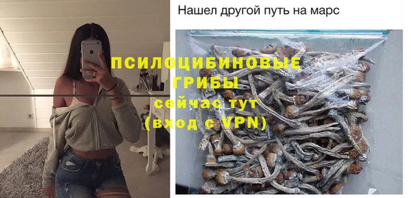 сатива Алексин