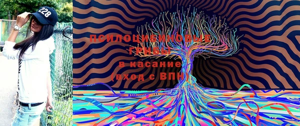 мяу мяу мука Алзамай