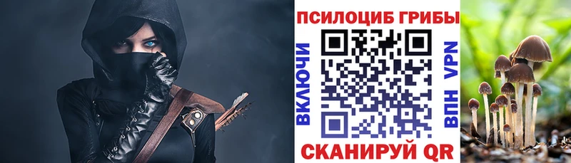 Псилоцибиновые грибы MAGIC MUSHROOMS  Рославль 