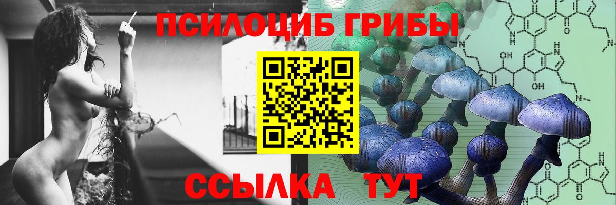 Псилоцибиновые грибы Psilocybine cubensis  Псилоцибиновые грибы Psilocybine cubensis  Вход с VPN  Рославль 